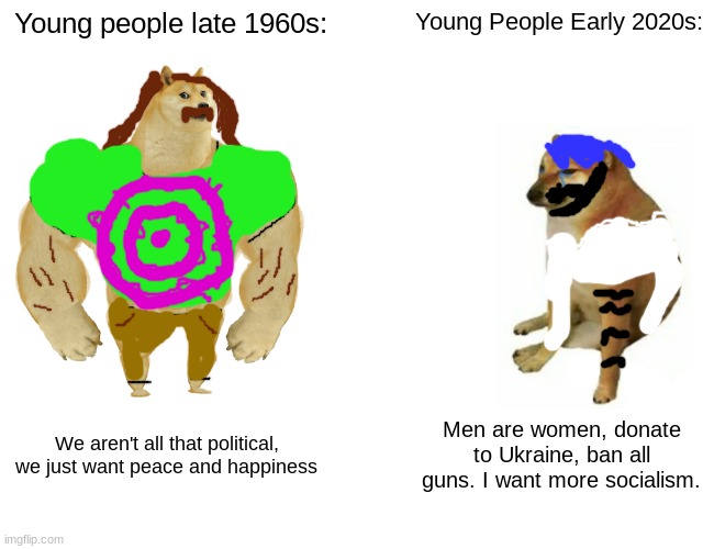 Hippies were still political, but at least it wasn't terribly political | Young people late 1960s:; Young People Early 2020s:; We aren't all that political, we just want peace and happiness; Men are women, donate to Ukraine, ban all guns. I want more socialism. | image tagged in memes,buff doge vs cheems,young,people | made w/ Imgflip meme maker