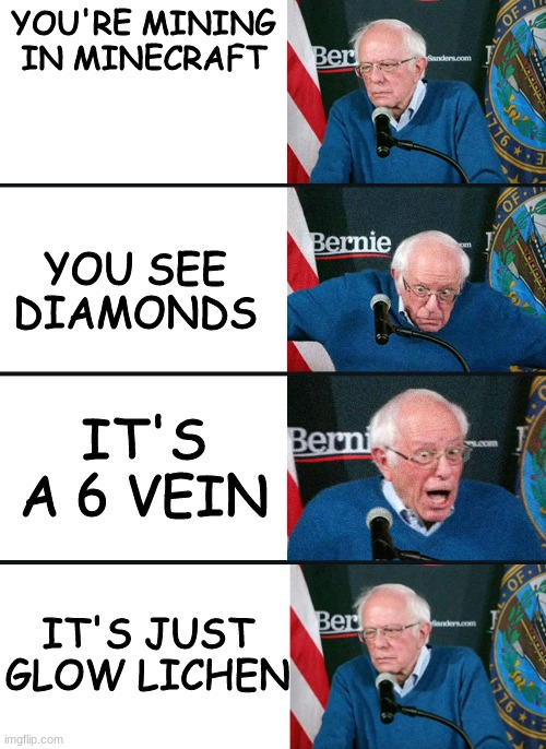 bernie reaction bad good good bad | YOU'RE MINING IN MINECRAFT; YOU SEE DIAMONDS; IT'S A 6 VEIN; IT'S JUST GLOW LICHEN | image tagged in bernie reaction bad good good bad | made w/ Imgflip meme maker