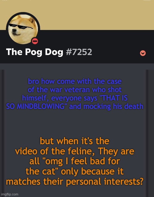 epic doggos epic discord temp | bro how come with the case of the war veteran who shot himself, everyone says "THAT IS SO MINDBLOWING" and mocking his death; but when it's the video of the feline, They are all "omg I feel bad for the cat" only because it matches their personal interests? | image tagged in epic doggos epic discord temp | made w/ Imgflip meme maker