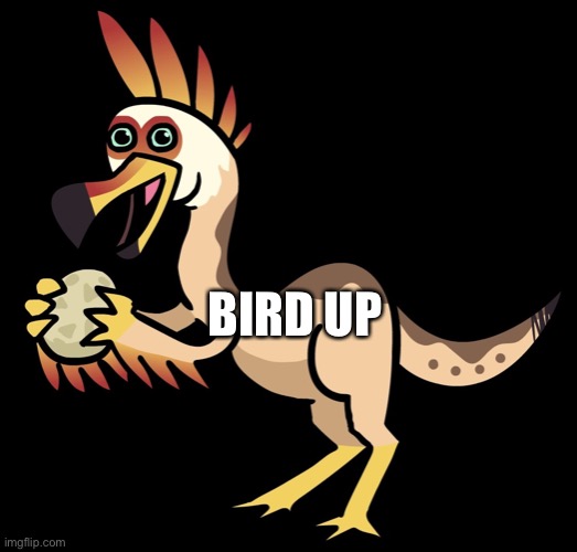 High Quality bird up Blank Meme Template