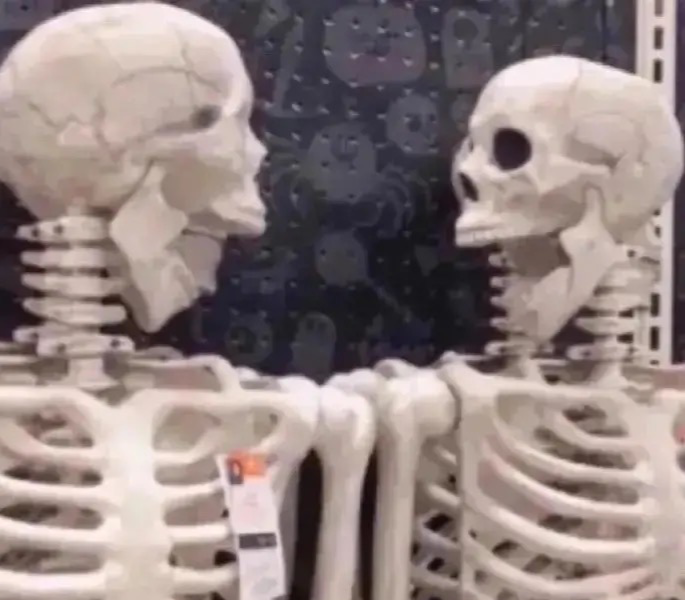 Skeleton stare Blank Meme Template