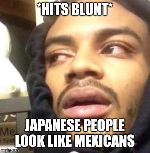 Hits Blunt | *HITS BLUNT*; JAPANESE PEOPLE LOOK LIKE MEXICANS | image tagged in hits blunt | made w/ Imgflip meme maker