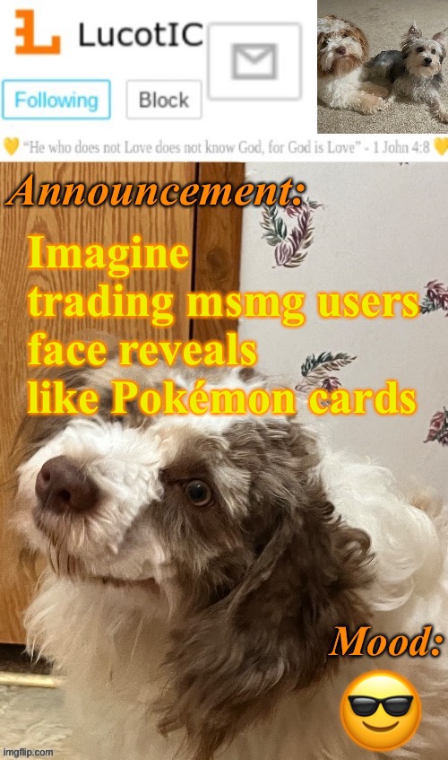 . | Imagine trading msmg users face reveals like Pokémon cards; 😎 | image tagged in lucotic s fangz announcement temp thanks strike | made w/ Imgflip meme maker
