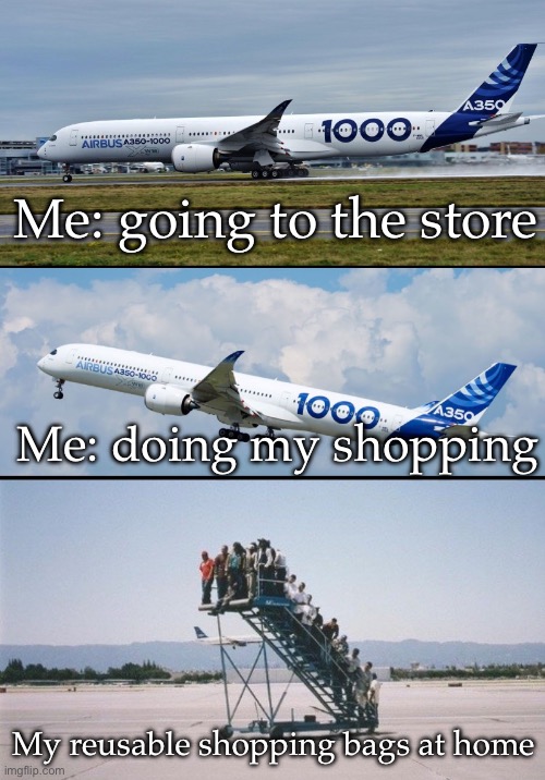 Reusable shopping bags | Me: going to the store; Me: doing my shopping; My reusable shopping bags at home | image tagged in plane forgot passengers,shopping,bags,reusable | made w/ Imgflip meme maker