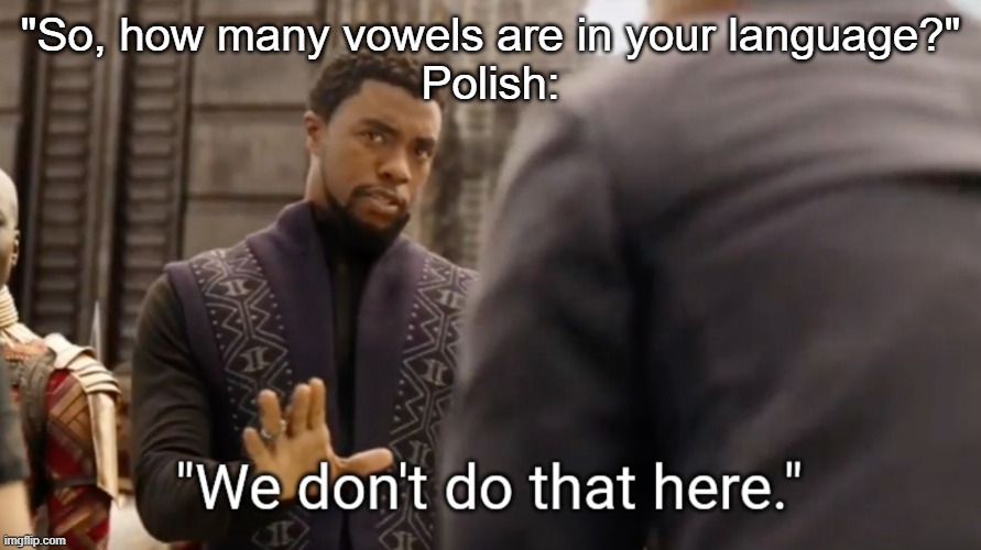 We don't do that here | "So, how many vowels are in your language?"
Polish: | image tagged in we don't do that here | made w/ Imgflip meme maker