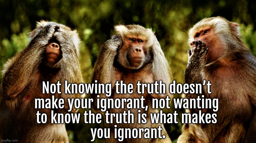Lack of Knowledge | Not knowing the truth doesn’t 
make your ignorant, not wanting 
to know the truth is what makes 
you ignorant. | image tagged in monkey version of see no evil hear no evil speak no evil,truth,oblivious | made w/ Imgflip meme maker