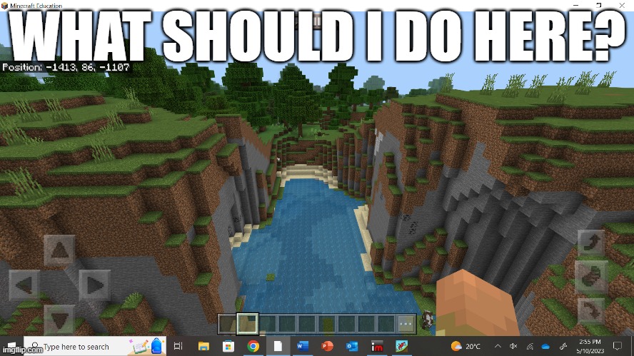 i honestly don't know | WHAT SHOULD I DO HERE? | image tagged in minecraft | made w/ Imgflip meme maker