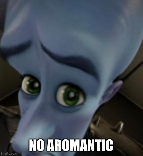 Megamind no bitches | NO AROMANTIC | image tagged in megamind no bitches | made w/ Imgflip meme maker