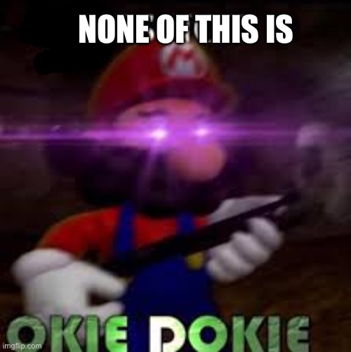This is not okie dokie | NONE OF THIS IS | image tagged in this is not okie dokie | made w/ Imgflip meme maker