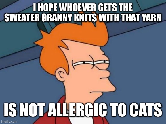Futurama Fry Meme | I HOPE WHOEVER GETS THE SWEATER GRANNY KNITS WITH THAT YARN IS NOT ALLERGIC TO CATS | image tagged in memes,futurama fry | made w/ Imgflip meme maker
