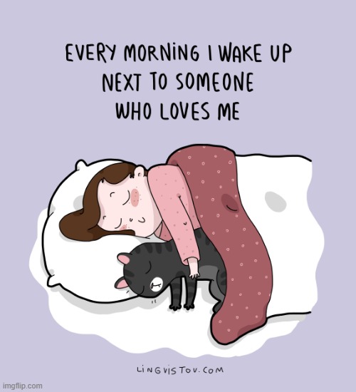 A Cat Lady's Way Of Thinking | image tagged in memes,comics/cartoons,cat lady,wake up,they love me,cats | made w/ Imgflip meme maker