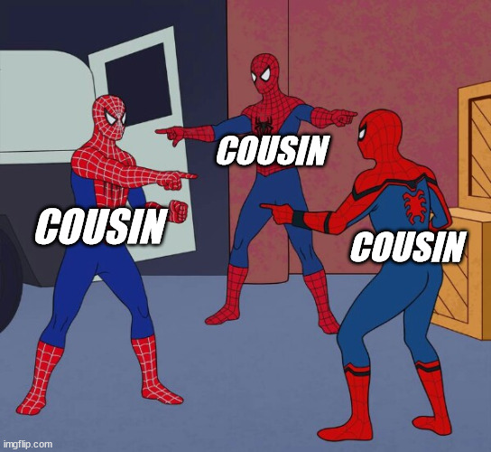 Spider Man Triple | COUSIN COUSIN COUSIN | image tagged in spider man triple | made w/ Imgflip meme maker
