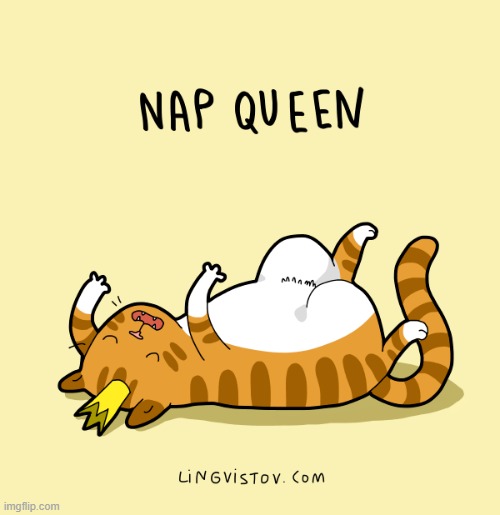 A Cat's Way Of Thinking | image tagged in memes,comics/cartoons,cats,nap,queen,crown | made w/ Imgflip meme maker