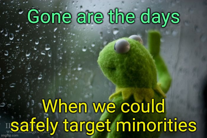 . | When we could safely target minorities Gone are the days | image tagged in kermit window | made w/ Imgflip meme maker