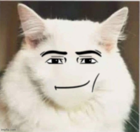 man cat | image tagged in man,cat | made w/ Imgflip meme maker