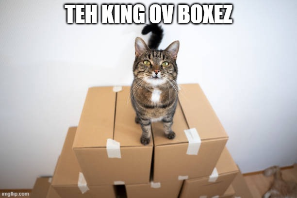 The King Of Boxes! | TEH KING OV BOXEZ | image tagged in cats,boxes | made w/ Imgflip meme maker