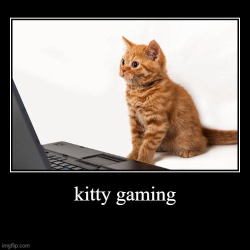 Kitty Gaming | kitty gaming | | image tagged in kitty,gaming | made w/ Imgflip demotivational maker