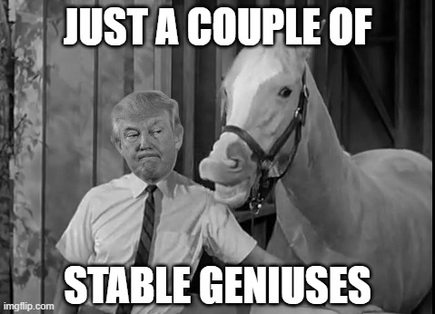 JUST A COUPLE OF; STABLE GENIUSES | image tagged in stable genius,mr ed | made w/ Imgflip meme maker