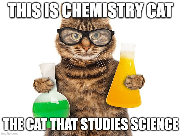 Chemistry Cat! The Science Kitty! | THIS IS CHEMISTRY CAT; THE CAT THAT STUDIES SCIENCE | image tagged in cats,chemistry | made w/ Imgflip meme maker