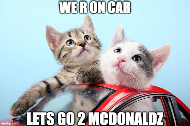 WE R ON CAR; LETS GO 2 MCDONALDZ | image tagged in cats | made w/ Imgflip meme maker