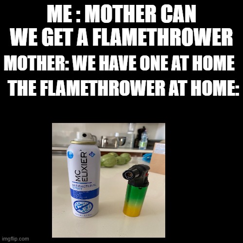 a yes only top quality | ME : MOTHER CAN WE GET A FLAMETHROWER; MOTHER: WE HAVE ONE AT HOME; THE FLAMETHROWER AT HOME: | image tagged in fire,don't do this at home | made w/ Imgflip meme maker