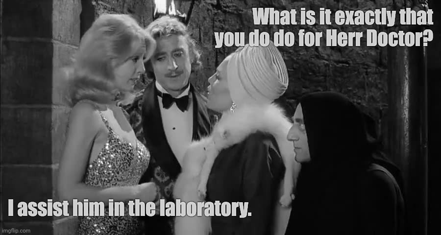 What exactly is it you do do? | What is it exactly that you do do for Herr Doctor? I assist him in the laboratory. | made w/ Imgflip meme maker