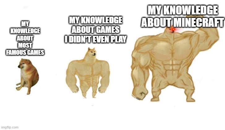 My Game Knowledge | MY KNOWLEDGE ABOUT MINECRAFT; MY KNOWLEDGE ABOUT GAMES I DIDN'T EVEN PLAY; MY KNOWLEDGE ABOUT MOST FAMOUS GAMES | image tagged in doge stronger | made w/ Imgflip meme maker