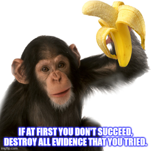 if at first you don't succeed | IF AT FIRST YOU DON'T SUCCEED, DESTROY ALL EVIDENCE THAT YOU TRIED. | image tagged in chimpanzee,animal humor | made w/ Imgflip meme maker