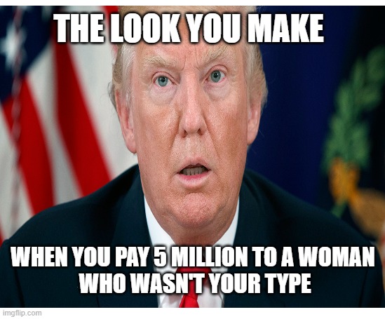 The good, the bad, & the guilty | THE LOOK YOU MAKE; WHEN YOU PAY 5 MILLION TO A WOMAN
 WHO WASN'T YOUR TYPE | image tagged in donald trump,maga,money,pay,politics | made w/ Imgflip meme maker