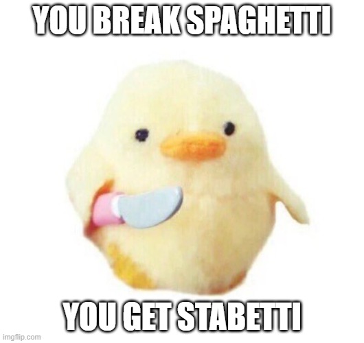 Duck with knife | YOU BREAK SPAGHETTI; YOU GET STABETTI | image tagged in duck with knife,memes | made w/ Imgflip meme maker