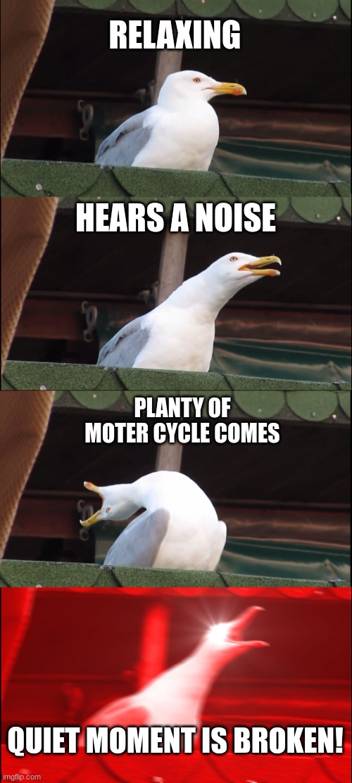 Inhaling Seagull Meme | RELAXING; HEARS A NOISE; PLANTY OF MOTER CYCLE COMES; QUIET MOMENT IS BROKEN! | image tagged in memes,inhaling seagull | made w/ Imgflip meme maker