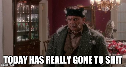 Today Sucks | TODAY HAS REALLY GONE TO SH!T | image tagged in home alone harry today sucks and is crap | made w/ Imgflip meme maker