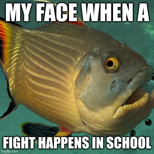 THE FIGHT HAPPENS | MY FACE WHEN A; FIGHT HAPPENS IN SCHOOL | image tagged in my face when fish version | made w/ Imgflip meme maker