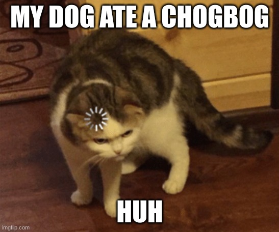 Lag Cat | MY DOG ATE A CHOGBOG; HUH | image tagged in lag cat | made w/ Imgflip meme maker