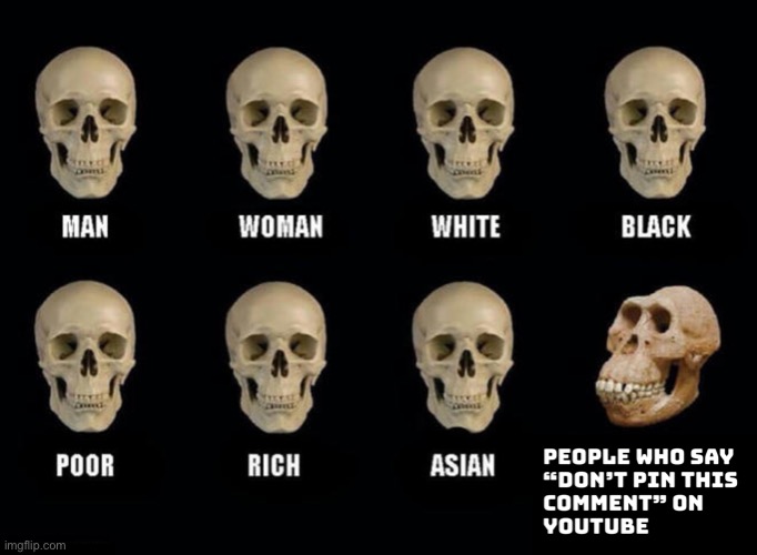 image tagged in memes | made w/ Imgflip meme maker