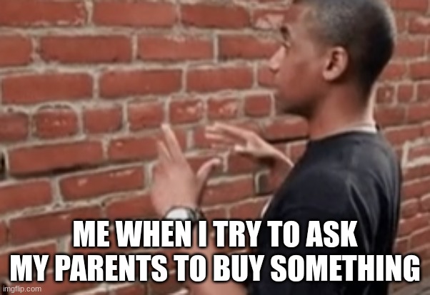 ME WHEN I TRY TO ASK MY PARENTS TO BUY SOMETHING | image tagged in brick wall | made w/ Imgflip meme maker
