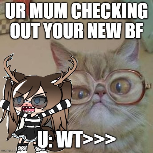 UR MUM CHECKING OUT YOUR NEW BF; U: WT>>> | image tagged in cats | made w/ Imgflip meme maker