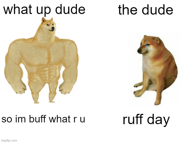 Buff Doge vs. Cheems Meme | what up dude; the dude; so im buff what r u; ruff day | image tagged in memes,buff doge vs cheems | made w/ Imgflip meme maker