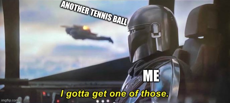 I gotta get one of those [Correct Text Boxes] | ANOTHER TENNIS BALL; ME | image tagged in i gotta get one of those correct text boxes | made w/ Imgflip meme maker