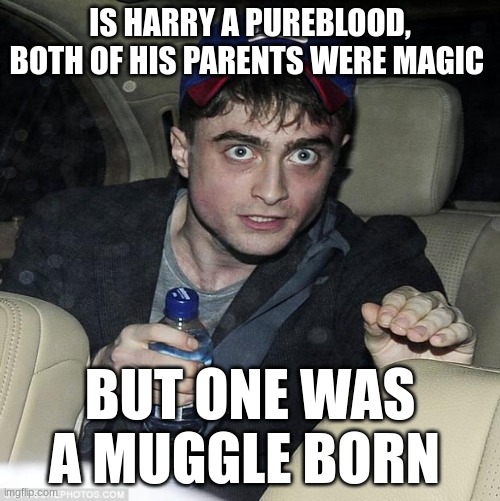 harry potter crazy | IS HARRY A PUREBLOOD, BOTH OF HIS PARENTS WERE MAGIC; BUT ONE WAS A MUGGLE BORN | image tagged in harry potter crazy | made w/ Imgflip meme maker