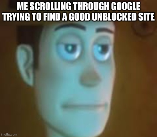 Blocked sites suck | ME SCROLLING THROUGH GOOGLE TRYING TO FIND A GOOD UNBLOCKED SITE | image tagged in disappointed woody | made w/ Imgflip meme maker