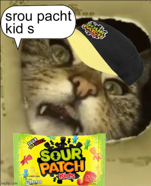 srou pacht kid s | image tagged in srou pacht kid s | made w/ Imgflip meme maker