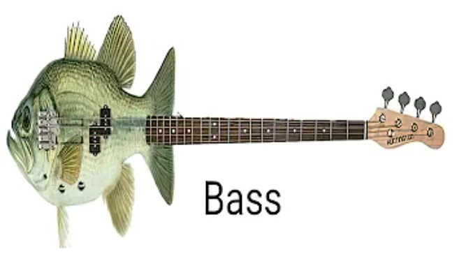 Bass | made w/ Imgflip meme maker