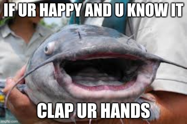 idek whyyyy | IF UR HAPPY AND U KNOW IT; CLAP UR HANDS | image tagged in catishshshshs | made w/ Imgflip meme maker