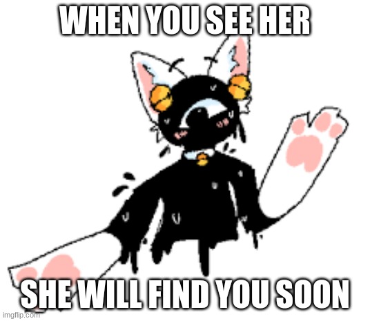 Seek Chan | WHEN YOU SEE HER; SHE WILL FIND YOU SOON | image tagged in seek chan | made w/ Imgflip meme maker