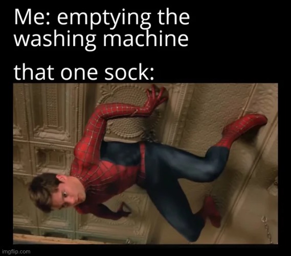 image tagged in memes | made w/ Imgflip meme maker