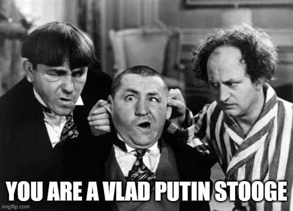 Three Stooges | YOU ARE A VLAD PUTIN STOOGE | image tagged in three stooges | made w/ Imgflip meme maker