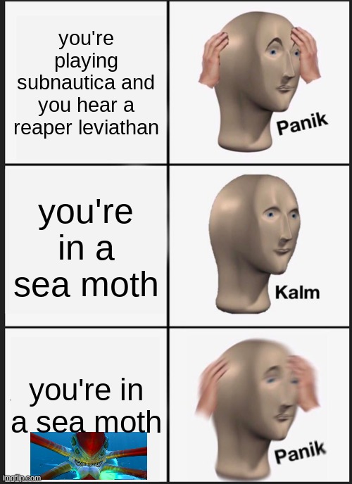 Panik Kalm Panik Meme | you're playing subnautica and you hear a reaper leviathan; you're in a sea moth; you're in a sea moth | image tagged in memes,panik kalm panik | made w/ Imgflip meme maker