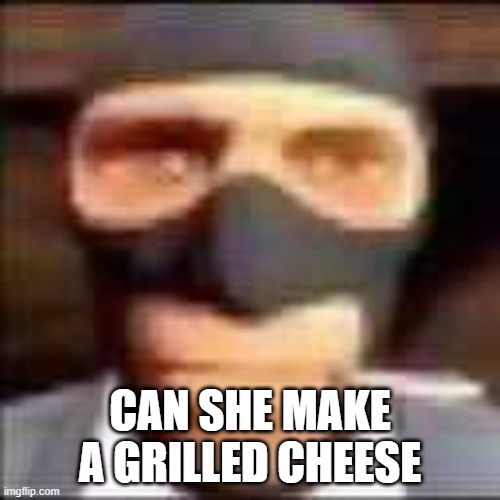 spi | CAN SHE MAKE A GRILLED CHEESE | image tagged in spi | made w/ Imgflip meme maker