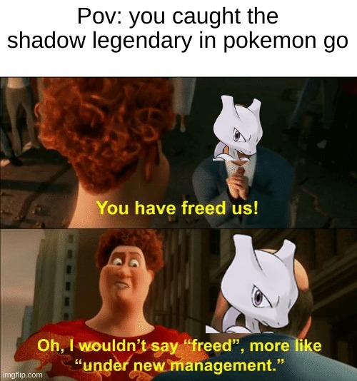 freedom is an illusion... for legendary pokemon at least | Pov: you caught the shadow legendary in pokemon go | image tagged in i wouldnit say freed,mewtwo,pokemon go,megamind | made w/ Imgflip meme maker